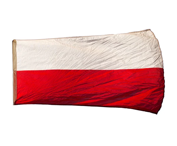 Izolated polska flaggan vinden — Stockfoto