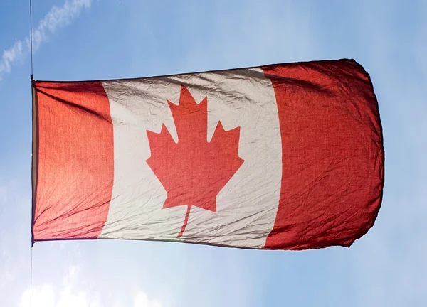 Kanadensiska flaggan i vinden mot en blå himmel — Stockfoto