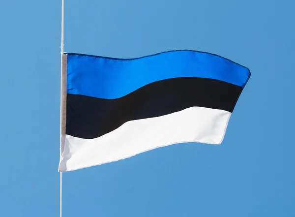 Die estnische Flagge im Wind gegen den Himmel — Stockfoto