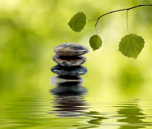 平衡水和绿色分支中的石头 图库图片