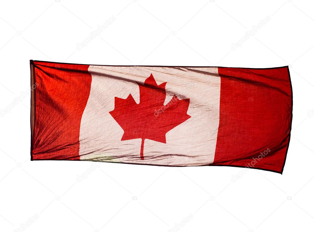 Isolated Canadian Flag in wind on white background