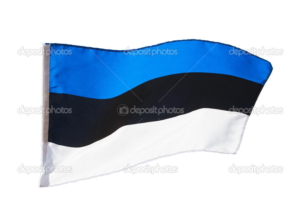 Estonian flag in the wind on white background