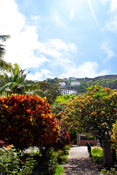 Spring city park in Madeira — Stock Photo, Image