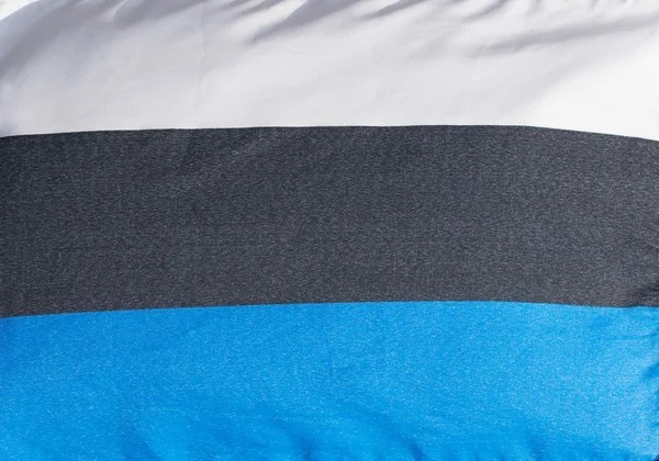 The Estonian flag in wind — Stock Photo, Image