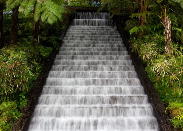 Waterfall in tropical gardens on Madeira — Stock Photo, Image