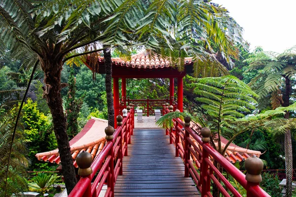Tropische tuin in de Japanse stijl — Stockfoto