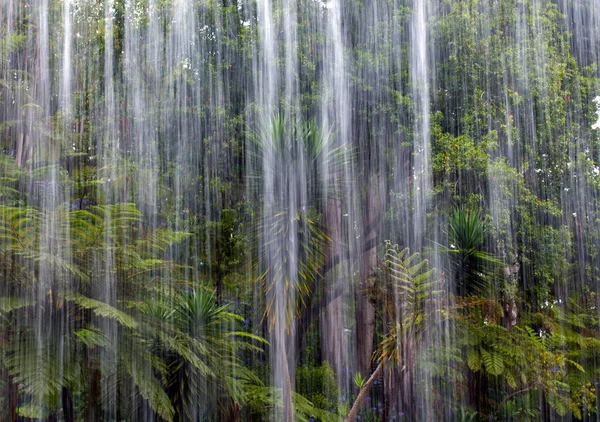 Tropical rain in the jungle — Stock Photo, Image