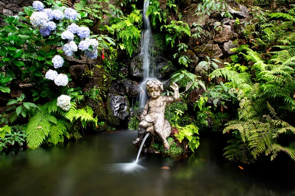 Wodospad i fontanna w tropikalnym ogrodzie w Maderze — Zdjęcie stockowe