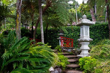 Japon tropikal Bahçe taş merdivenle