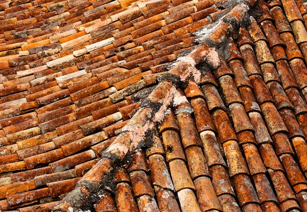 Vecchie tegole sul tetto — Foto Stock