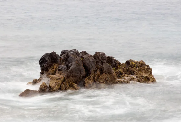 Rock resif deniz — Stok fotoğraf