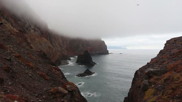 Cape San Lorenzo on island of Madeira in fog — Stock Video