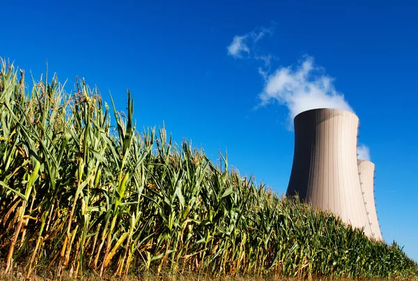 Groene maïsveld tegen kerncentrale — Stockfoto