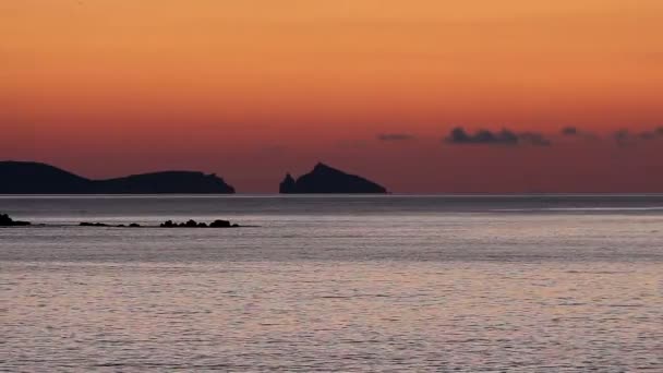 Amanecer en el mar y el pájaro volador — Vídeo de stock