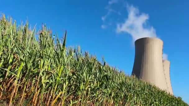 Corn field against nuclear power plant — Stockvideo