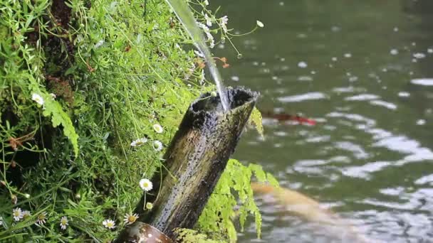 Bamboo tube and flowing water in Japanese garden — Stock Video