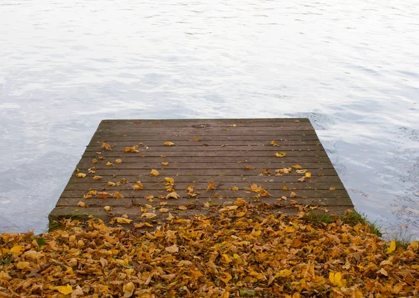 Molo di legno su stagno e foglie autunnali — Foto Stock