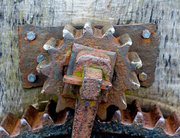 Old and rusty gear on wooden surface — Stock Photo, Image