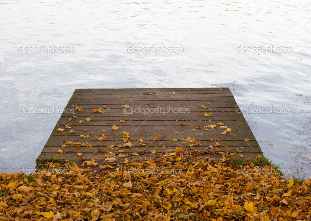 Wooden pier on pond and autumn leaves