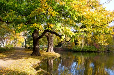 Hannover şehrinde sonbahar Parkı