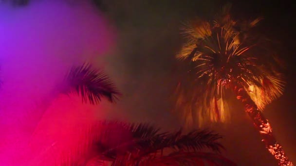 Las ramas de las palmeras en la iluminación nocturna — Vídeos de Stock