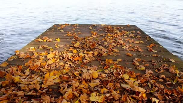 Muelle de madera en el estanque — Vídeo de stock