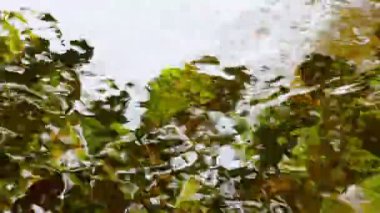 yansıma yaprak suyu