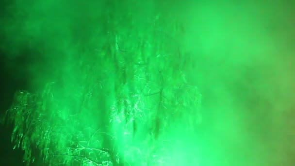 Albero nella nebbia di notte e illuminazione — Video Stock