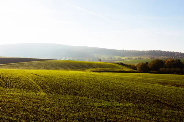 Tierra cultivable en el sol de la mañana — Foto de Stock