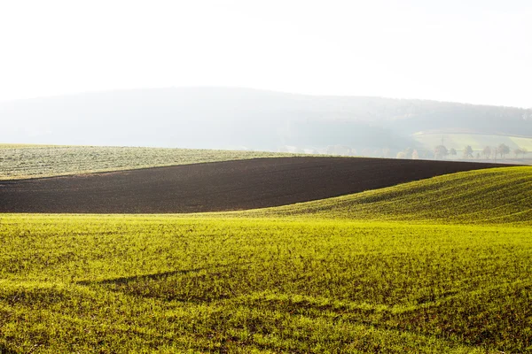 Tierra cultivable a la luz del sol de la mañana — Foto de Stock