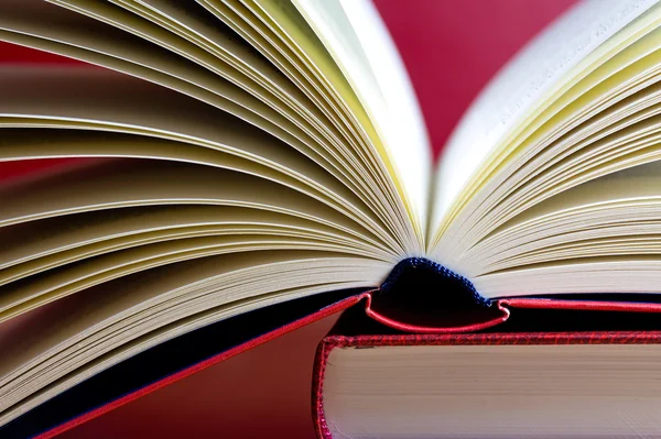 Opened book on red background — Stock Photo, Image