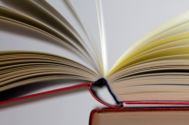 gri arka plan üzerine açık kitap