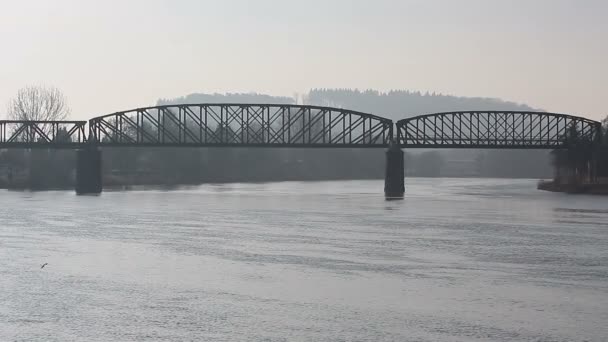 Ponte ferroviária sobre o rio — Vídeo de Stock