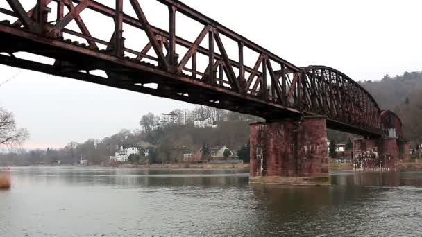 Nehir üzerindeki demiryolu köprüsü — Stok video