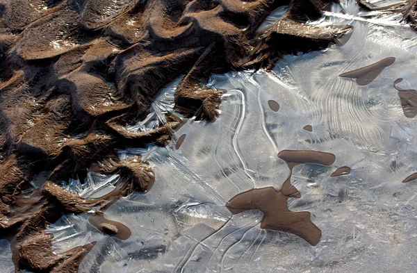 Заморожений і крижаний дно річки на сонці — стокове фото