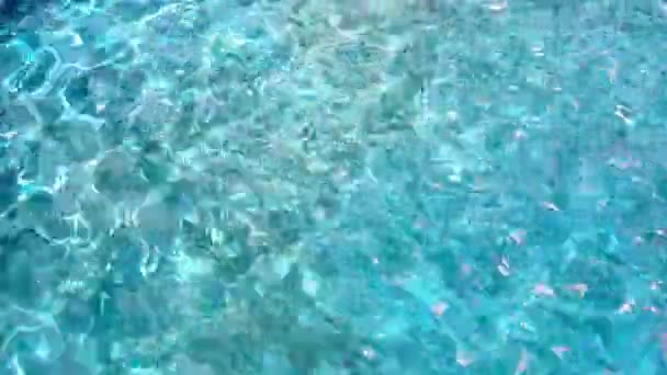 Νερό της πισίνας με μπλε χρώμα — Αρχείο Βίντεο