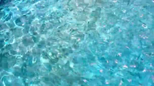 Water of pool in blue — Stock Video