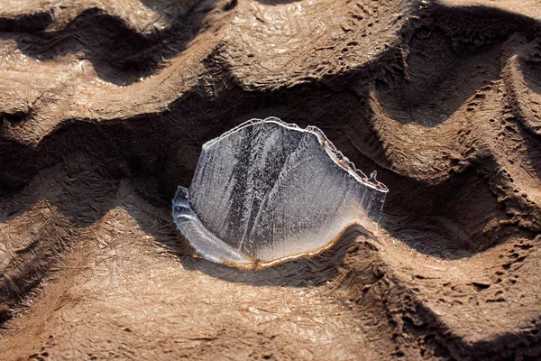 Piece of ice on frozen ground — Stock Photo, Image