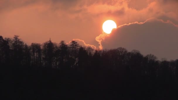 Coucher de soleil sur la forêt — Video