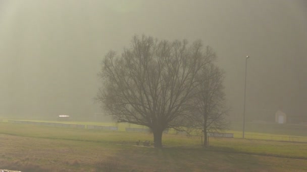 Mattina nebbia sul fiume al sole — Video Stock