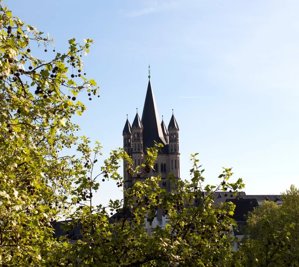 Köln'deki st. martin Kilisesi — Stok fotoğraf