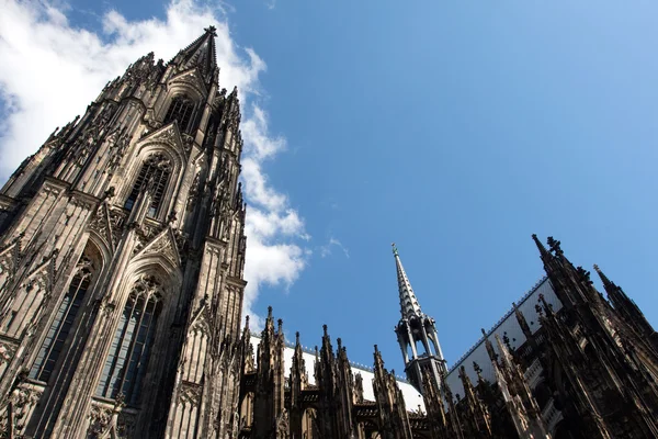 Kölner Dom vor blauem Himmel in Deutschland — Stockfoto