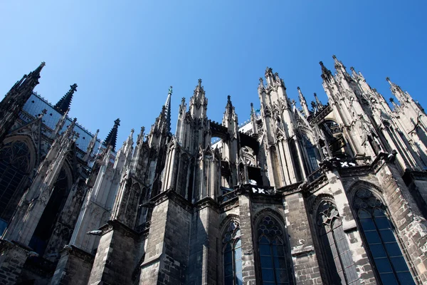 De Dom van Keulen tegen de blauwe hemel, Duitsland — Stockfoto