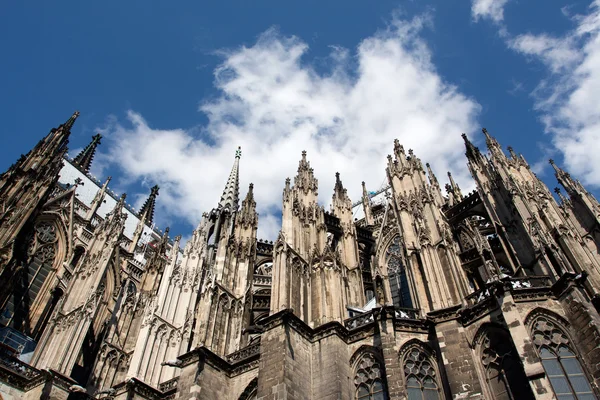 Cattedrale di Colonia contro il cielo blu — Foto Stock