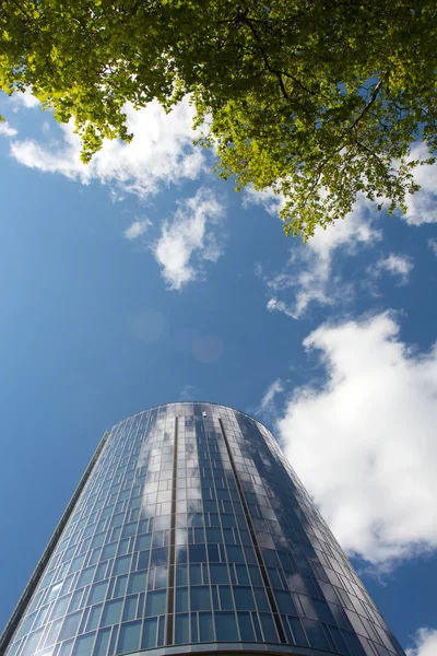 Green tree branches against a skyscraper and  sky — Stock Photo, Image