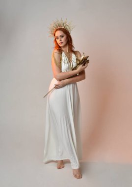 portrait of beautiful red head woman wearing long flowing fantasy toga gown with golden halo crown jewellery,  posed on isolated on a white studio background. clipart