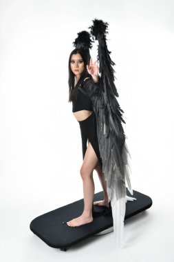 full length portrait of beautiful asian model with dark hair, wearing black gothic skirt costume, angel feather wings with horned headdress. Standing pose  isolated on studio background.