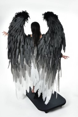 full length portrait of beautiful asian model with dark hair, wearing black gothic skirt costume, angel feather wings with horned headdress. Standing pose  isolated on studio background.