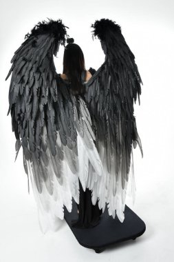 full length portrait of beautiful asian model with dark hair, wearing black gothic skirt costume, angel feather wings with horned headdress. Standing pose  isolated on studio background.