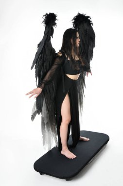 full length portrait of beautiful asian model with dark hair, wearing black gothic skirt costume, angel feather wings with horned headdress. Standing pose  isolated on studio background.